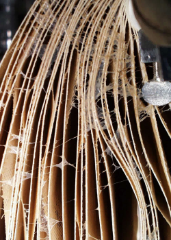 Microbial fouling of reverse osmosis membranes!(图3) ro‑membrane‑biological‑fouling‑field‑case.png