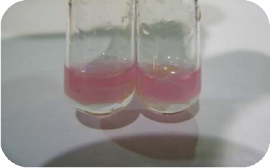 RO Membrane Oxidation: Causes, Symptoms and Fujiwara Test Identification