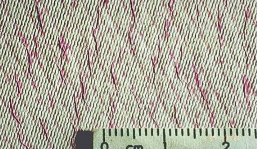RO Membrane Compaction: Causes, Symptoms and Irreversible Damage